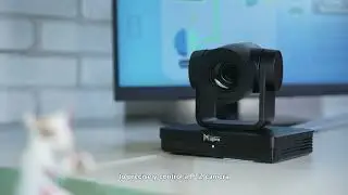 Edge AI Integration for Large-Scale Model Software & Hardware