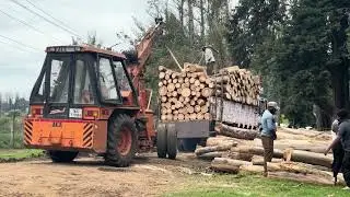 Incredible Crane Power! Lifting Heavy Timber & Loading Trucks #crane #trending #travel 