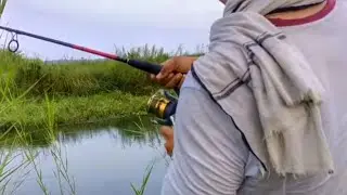 Fishing Video || How To Cath Fish || Amazing Fishing || Village Fishing