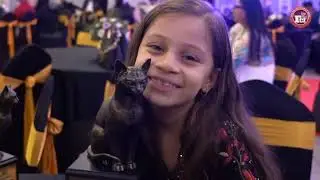Feline Club of India Cat Awards Show 🏆 | Celebrating Pedigree Cats & Passionate Cat Parents! #cat