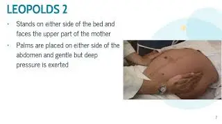ABDOMINAL EXAMINATION PERFORMING LEOPOLDS MANEUVER