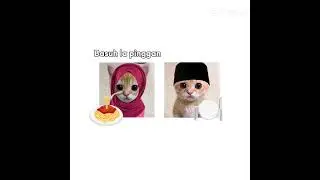 Basuh la pinggan babi #capcut #kucing #cat #capcutanimation #funny #capcutmalaysia