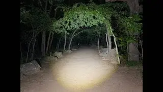 Rastreando a el patr&oacute;n en parque p&uacute;blico