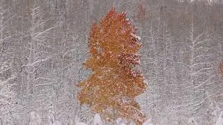 First Snowfall &ndash; October 23, 2022