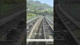 Who knows how this train passed through this turnout?#track