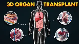 If your organ fails, you must know about 3D bioprinting!