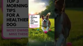 Top 3 Morning Tips for a Healthier Dog 🐕 Most Pet Parents Miss These! #dogcaretips  #petcareadvice
