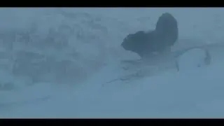 MUSK OX &ndash; THE OZONE FACTOR SERIES