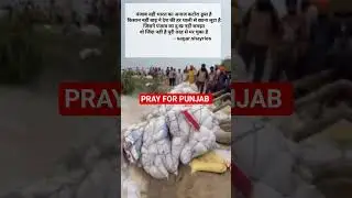 Punjab faces flooding crisis #india #punjab #flood #rain #fyp #news #explore #bjp #congress