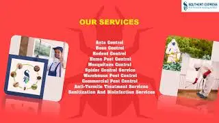 Top Pest Control Companies in Dubai