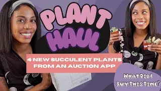 My Latest Whatnot Plant Unboxing Haul: Tiny Variegated Succulents + String of Things & More! 🪴😍