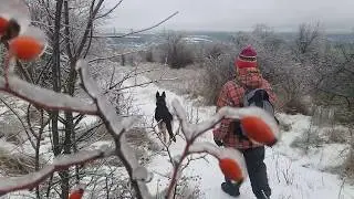 Casey and the Ice World - Beautiful and Dangerous