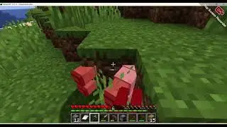 2 часть видео
