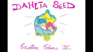 Dahlia Seed - Butterfly Kick