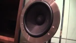 Auditorium by Audio Lounge