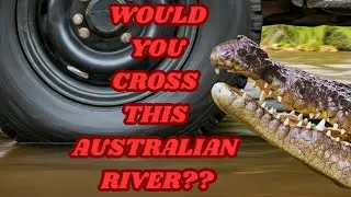 THE CROCODILES OF CAHILL'S CROSSING