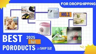 7 Pet Products Going Viral in 2025 🔥 Must-Sell Picks for New Dropshippers!