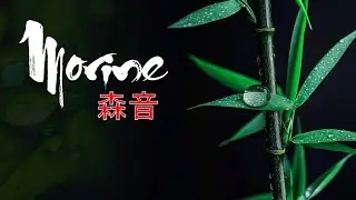 🤍 心をそっと包む禅サウンド：静かな癒しZen Music for Soft Healing