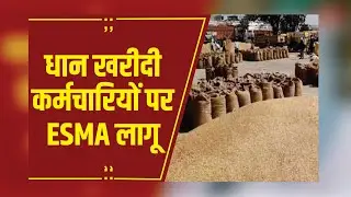 Raipur: छत्तीसगढ़ सरकार का बड़ा फैसला, धान खरीदी कर्मचारियों पर लगा ESMA