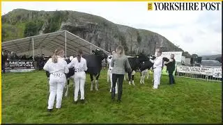 Kilnsey Show 2023