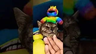 Милый кот 🐈 #кот #roblox #милый #sprunki #смешной #мемы #шорты #fyp