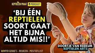 Reptielenarts Doortje over POSITIEFLIJST, BEURZEN, REPTIELENZORG & Krijg ik EITJES? | Afl. 08