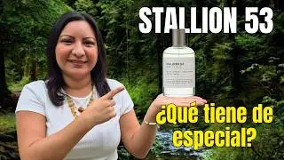 STALLION 53 &iquest;M&Aacute;S BARATO QUE SANTAL 33? 🤔 &iquest;QU&Eacute; TIENE DE ESPECIAL? 😧