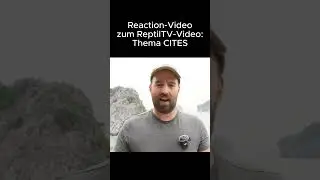Fazit: Terraristik besser machen