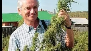 Progress and new trends in cannabis treatment | L. Hanu&scaron;, Cannafest 2015