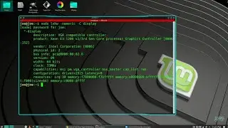 Find Out What Graphics Card Is In Your Linux PC