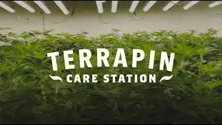 Terrapin Care Station 2021