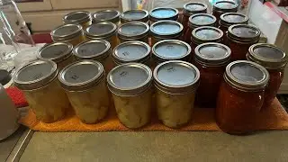 #everybitcountschallenge Canned Potatoes & Salsa & Crinkle Cut Fries 