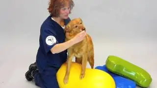 Suzie Stoke, MSPT, CCRT on building Balance & Core Strength