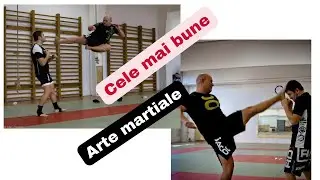 Care sunt cele mai bune arte martiale?