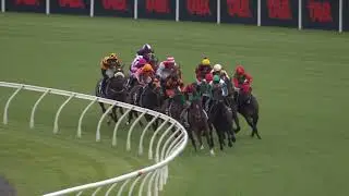 PROVENCE - NZ Thoroughbred Breeders Stakes 2025 (3YO+ WFA FM G1) Group 1 Ellerslie NZ 8 March