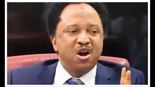 Wike, Fubara feud like Middle East crisis &ndash; Shehu Sani