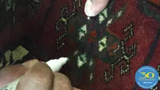 How to Find Re-Color Rug Repair Expert in Miami
