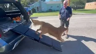 🚗🐕 Extra Long Foldable Dog Ramp - Perfect for Medium & Large Dogs!