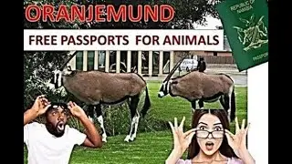 ORANJEMUND - NAMIBIA | DIAMOND TOWN  | Namibian YouTuber