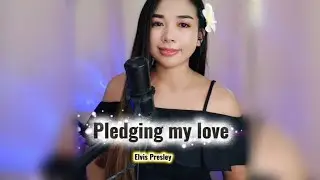 pledging my love | Elvis Presley/oldies/classic song/70's/