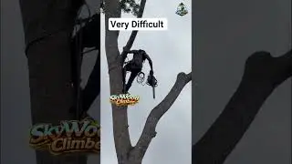 Very Difficult Cut at the Top | Extreme Tree Cutting