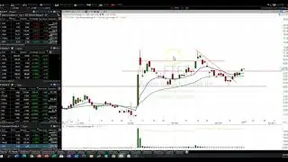 The Effect of Increasing the Authorized Capital $FTFT