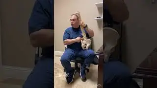 ⚕️ Leg Pain Diagnosis: Hip, Spine, or Sciatic Nerve?