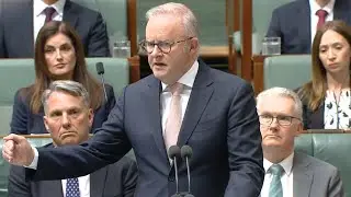 PM urges Greens to 'turn down the temperature' amid Herzog visit