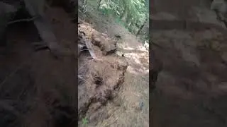 Lost Cache #2