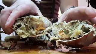 Cooking Crabs 2025_ Delicious Food preparation #thailand #seafood #crab