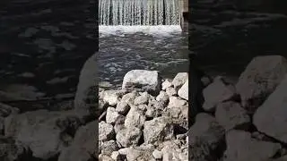 Leavittsburg Dam Removal Update