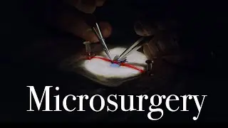 Learning Suturing with Plastic Reconstructive Surgeon Dr. John Felder | End-to-End Anastomosis