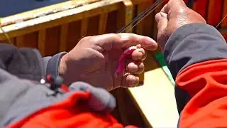 How to Fish for Shallow Water Walleyes