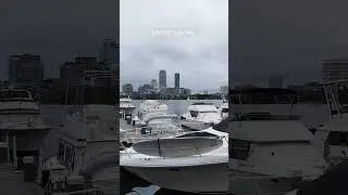 Boston skyline view #boston #view #skyline